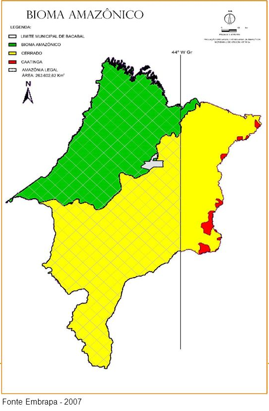 Map of the Biomes of the Maranhense Amazon: Amazon and Cerrado. Source: EMBRAPA, 2007