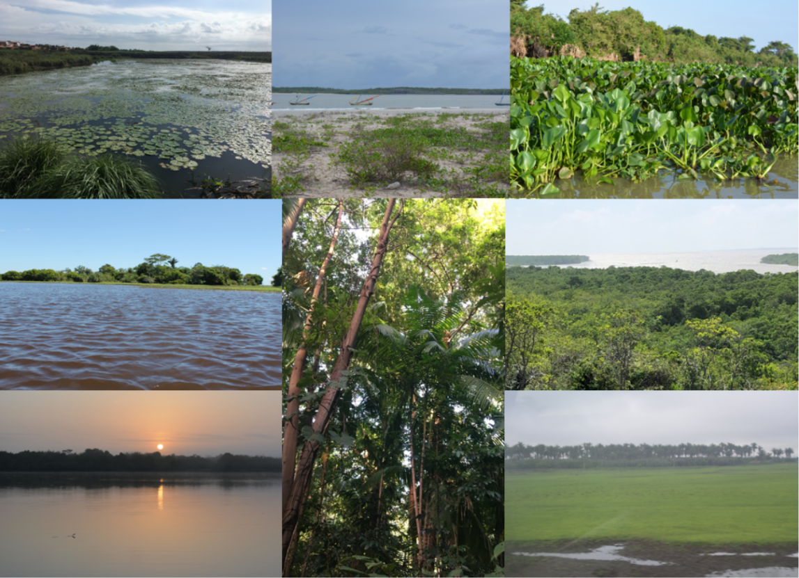 Mosaic of the natural aspects of the Baixada Maranhense and Reentr&acirc;ncias
                        Maranhenses Source: Arkley Bandeira, 2020.